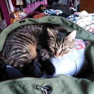 Meet your Posher, Cheyenne